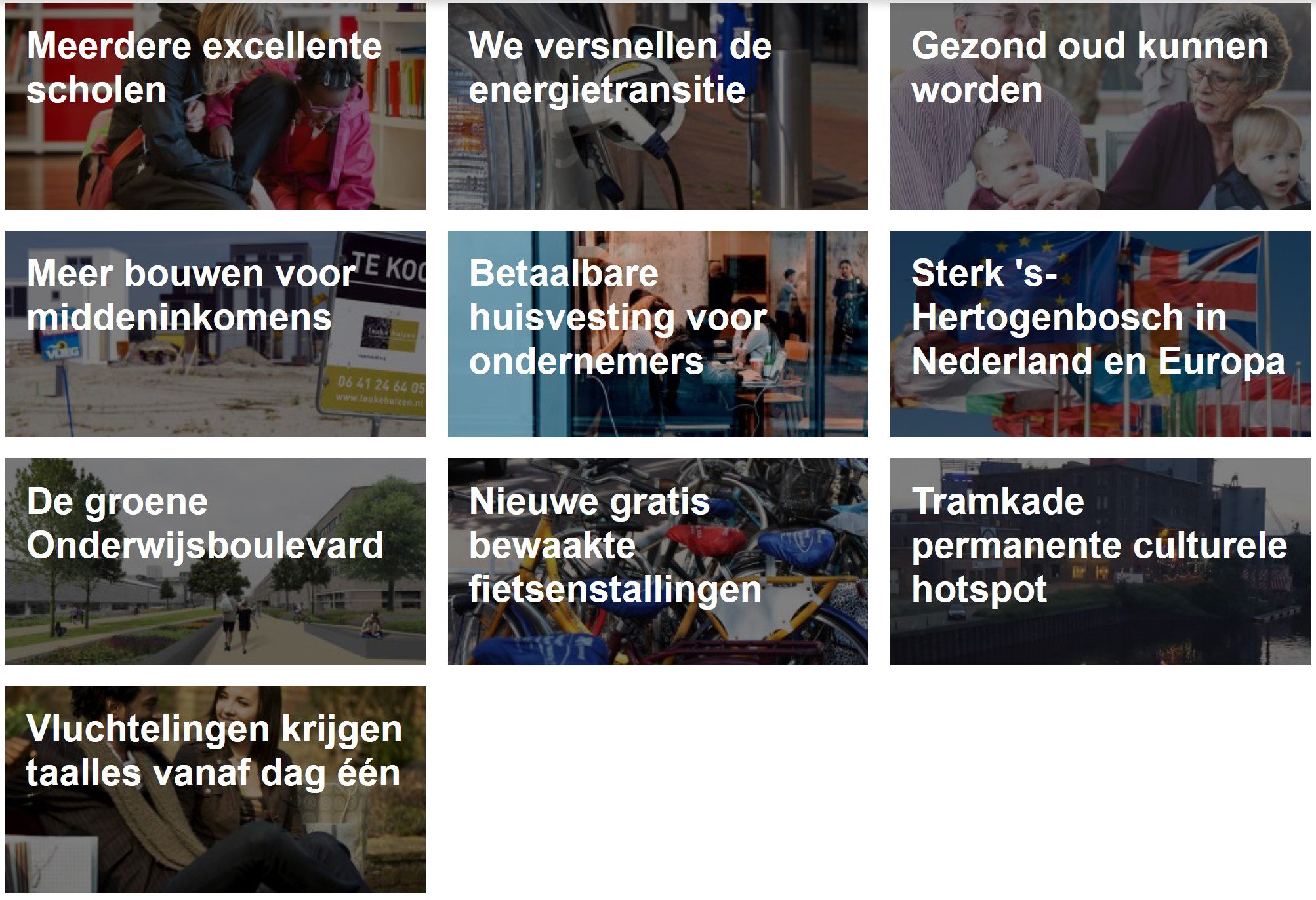 De titels van de hoofdstukken uit het verkiezingsprogramma van D66 's-Hertogenbosch.